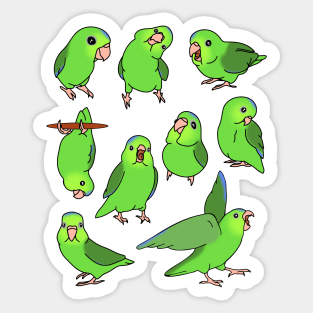 green parrotlet pattern Sticker